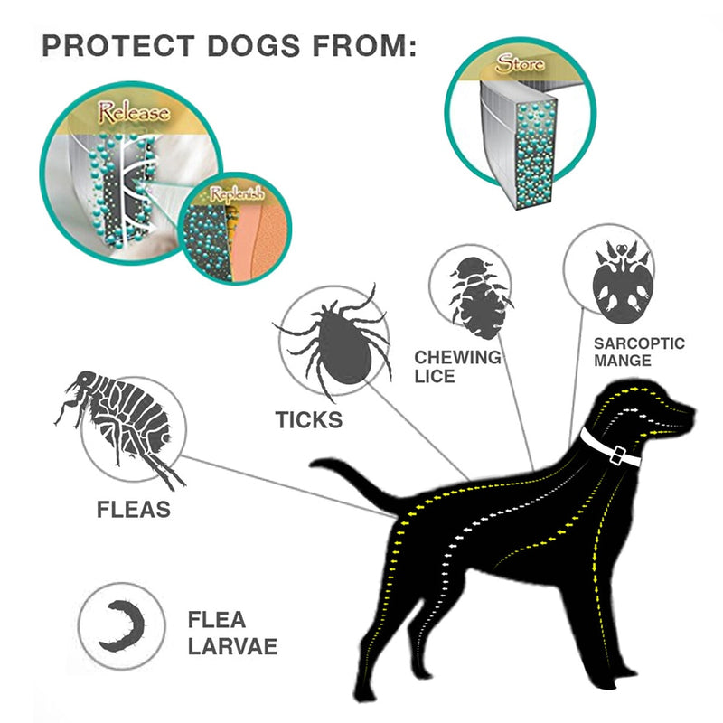 Colar antipulgas para cães e gatos, combate  carrapatos, larvas de pulgas e piolhos, a proteção pode durar até 6-8 meses.